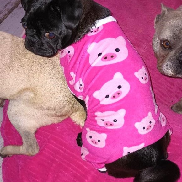 Pink Pig Dog Pajamas PJ's Doggy Animal Pet Clothing Medium Cutebone - Picture 2 of 5